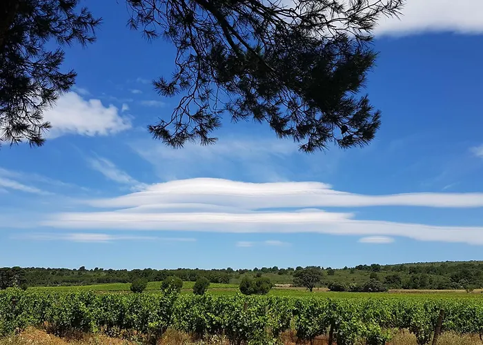 Hébergement de vacances La Maison Du Carignan By Interhome Armissan